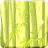 icon Bamboo Forest 2.0