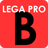 icon Lega Pro B 1.6