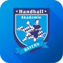 icon Handballakademie Bayern for Samsung S5830 Galaxy Ace