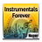 icon 50 Top Bollywood Instrumentals 1.0.0.9