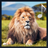icon Animal Sounds 1.2.2