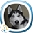 icon DogSounds 3.8