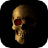 icon Skulls LWP 2.3