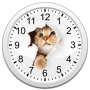 icon Cats Analog-Clocks Widget