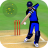 icon Smashing Cricket 3.3.9