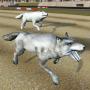 icon Wild Wolf Racing Game