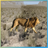 icon Lion Hunter 9.9.99