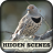 icon Hidden ScenesWinter Birding 1.0.32