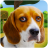 icon Talking Dog Crazy 1.4.4