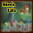 icon Birds Life 40.5