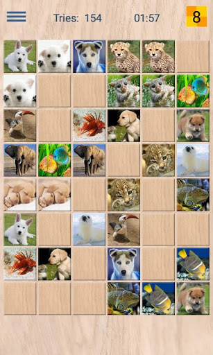 Animals Memory Game