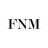 icon FNM 1.4.1