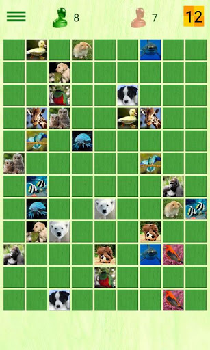 Animals Memory Game