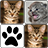 icon Memory Cats 1.1
