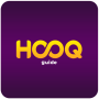 icon Guide for HOOQ Movies