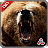 icon Bear Jungle Attack 1.2