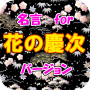 icon jp.apps.rsbar.meigenhananokeiji