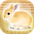 icon Rabbit 1.2