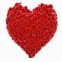 icon اجمل ورود الحب Love for Samsung Galaxy Note 10 1