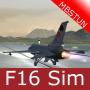 icon F16sim