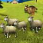 icon Sheep Shephered Dog Simulator