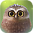 icon Little Owl Lite 1.4.7