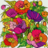 icon Wonder ColorFree Style Coloring Book 2.2