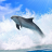 icon Dolphins 3D 7.0