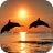 icon Amazing Dolphins HD 7.0