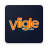 icon Viigle ADS 3.76