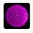 icon Canb. Pollen 1.3.8