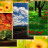 icon Nature Wallpapers 1 2.1