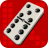 icon Domino 13.0.1
