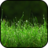 icon Grass Wallpapers 1.0