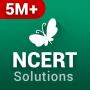 icon NCERT Solutions of NCERT Books