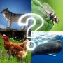 icon ZOO sounds quiz for Samsung Galaxy Grand Duos(GT-I9082)