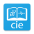 icon CIE10 3.0