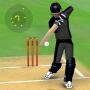 icon Smashing Cricket: cricket game
