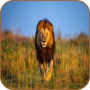 icon Lion HD Wallpaper for Sony Xperia XZ1 Compact