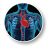 icon Cardiac Surgery Guide 1.14.0.0