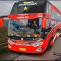 icon Indonesia Bus Simulator : Bus Livery Master for Samsung Galaxy Grand Duos(GT-I9082)