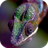 icon Chameleon Live Wallpaper 2.0