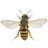 icon Bee 1.8