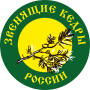 icon Звенящие Кедры России for Samsung Galaxy Note 10 1