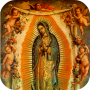 icon La Hermosa Guadalupe for Samsung Galaxy Grand Prime 4G