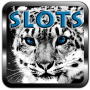 icon Tiger Slots – Golden Jackpot