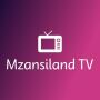 icon Mzansi Land App
