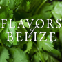 icon FlavorsofBelize