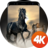 icon Perde wallpapers 4k 2.0.3