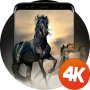 icon Horses wallpapers 4k for LG K10 LTE(K420ds)